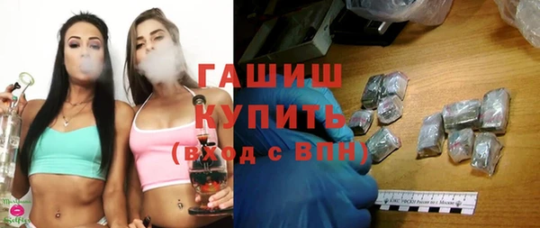 дмт Бородино