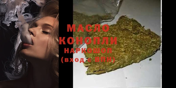 дмт Бородино