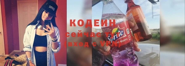 дмт Бородино