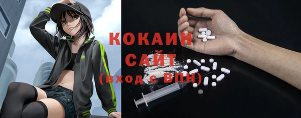 дмт Бородино