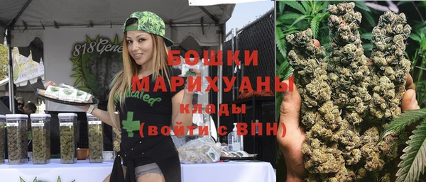 индика Бронницы