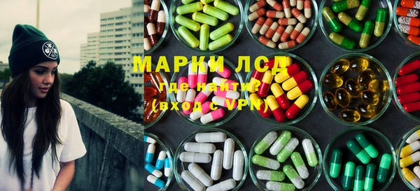 индика Бронницы