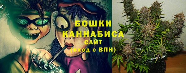 дмт Бородино
