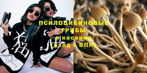 индика Бронницы