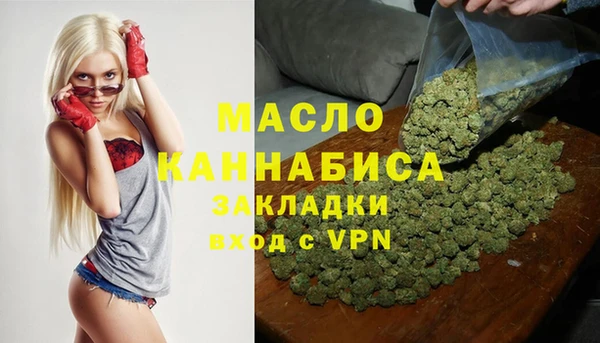 индика Бронницы