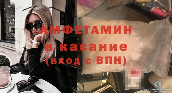 индика Бронницы