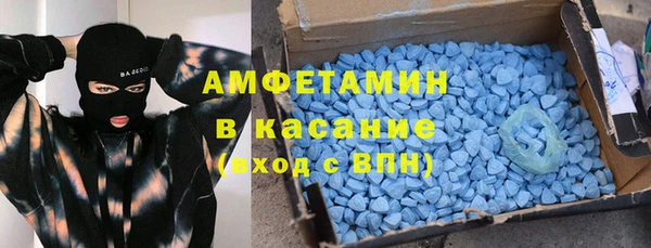 дмт Бородино