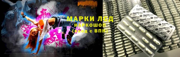 дмт Бородино