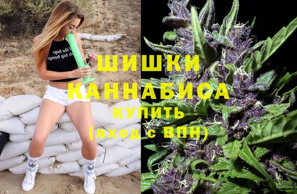 дмт Бородино