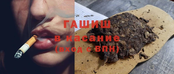 дмт Бородино