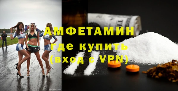 дмт Бородино