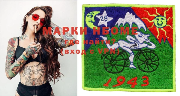 индика Бронницы