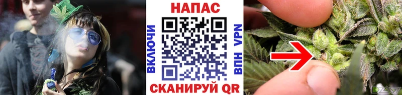 mega   Ростов  Шишки марихуана SATIVA & INDICA 